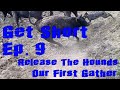 Release The Hounds! Get Short Ep. 9