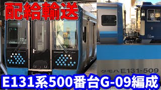 【新津配給】相模線用E131系500番台横コツG-09編成+EF64-1031号機配給輸送@宮原駅到着シーン\u0026大宮駅発着シーン