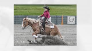 Keystone Reining Associaton