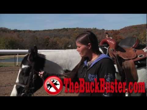 Do Daisy rein stop bucking?