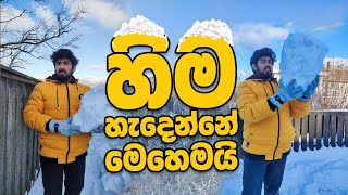 හිම හැදෙන්නේ කොහොමද? | How snow forms? #snow #winter #snowfall