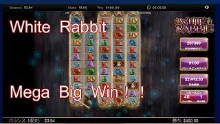 white rabbit　2440 X　＜オンラインカジノ　スロット紹介＞