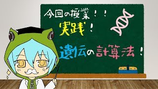 【ざっくり解説】実践! レオパの遺伝計算法！【遺伝学】