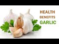 health benefits of garlic. a quick List