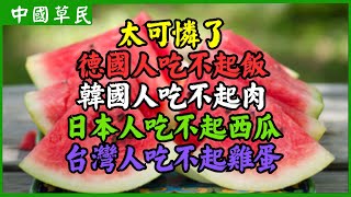 太可憐了德國人吃不起飯.韓國人吃不起肉.日本人吃不起西瓜.台灣人吃不起雞蛋|Reaction video