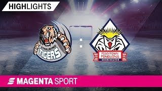 Straubing Tigers - Pinguins Bremerhaven | 44. Spieltag, 18/19 | MAGENTA SPORT