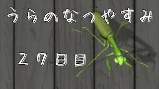 うらのなつやすみ２７日目：虫交換してみた【ぼくなつ３】