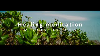 An island of meditation and healing 20250226 / SIRUI Saturn 50mm T2.9 anamorphic / SONY FX3