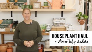 Houseplant Haul + An Update On My Winter Hydroponic Tulips for Valentines!  Sunshine and Flora