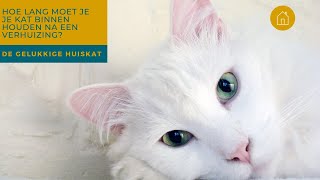 HOE LANG MOET JE JE KAT BINNEN HOUDEN NA EEN VERHUIZING - De gelukkige huiskat | Kattengedrag