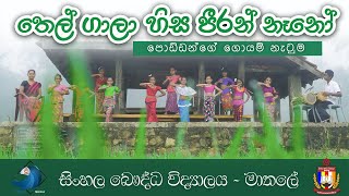 තෙල් ගාලා හිස පීරන් නෑනෝ | පොඩ්ඩන්ගේ අපූරු ගොයම් ගී නර්තනය | SBC Matale