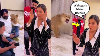 Shehnaaz Gill Gets Scared After Seeing Pet LION In Her Room & Started Screaming Waheguru Waheguru