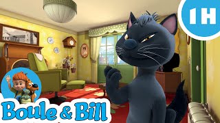 🐱C'est la journée du chat noir pour Caporal !🎉 - Nouvelle Compilation Boule et Bill FR