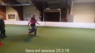 Gava evl seuraus 25.3.18