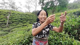 बोनस र पुष्प दिदी Teesta Valley Tea Garden.