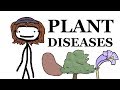 Plant Diseases