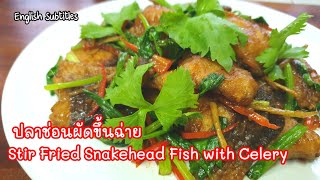 Stir Fried Snakehead Fish with Celery ปลาช่อนผัดขึ้นฉ่าย วิธีผัดปลาไม่เละกรอบอร่อย