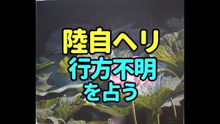 タロット占い　陸自ヘリ行方不明を占う