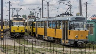 Tatra Tram Evolution