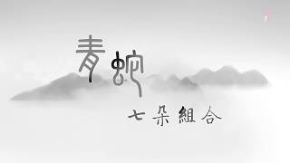 【无水印】七朵组合 Seven Sense《青蛇》舞蹈练习室1080p