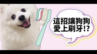 這招讓狗狗愛上刷牙❓｜幫狗狗刷牙🪥｜OH！My呱