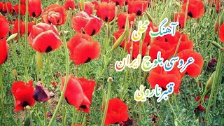 قنبرنارویی اهنگ محلی عروسی بلوچی  کهنوج کرمان #بلوچ#کرمان#اهنگ_محلی