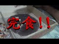 必勝客 韓式泡菜燒肉