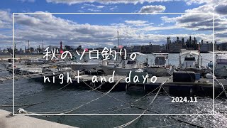 釣り。night & day。2024.11秋。【広島釣り】