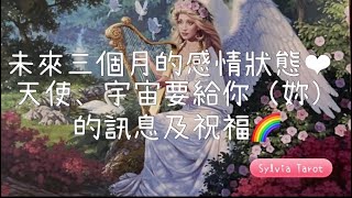 《Sylvia 大眾占卜🌹》90天的感情發展當下及未來能量，天使要給你的訊息、指引、啟發#單身#情侶#愛情#占卜#感情運勢#實話實說占卜