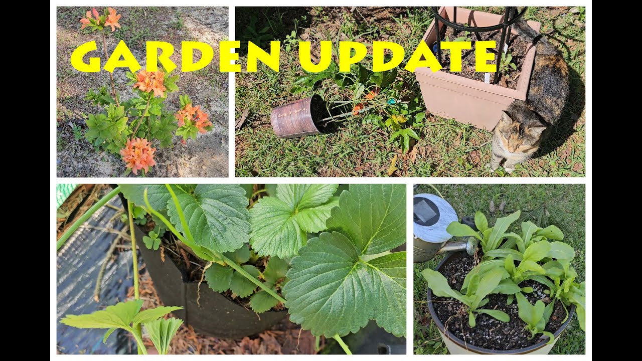 Garden Tour Youtube