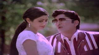 Panchami Poota Manchidhani Video Song || Sriranganeetulu Movie || ANR,Sridevi