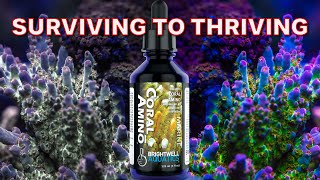 Coral Amino | How to Maximize Your Corals COLORATION and GROWTH