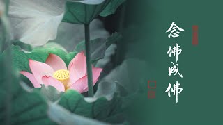 淨空老法師｜大經專修｜阿彌陀佛保證你成佛-第1807集