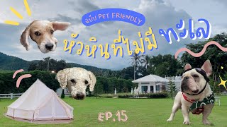 EP.15 ไปหัวหินแต่ไม่เห็นทะเล แบบ Pet friendly หัวหินหมาพักได้