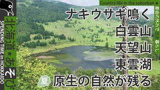 ナキウサギ鳴く_白雲山、天望山、東雲湖_原生の自然_とかち鹿追ジオパーク