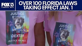 New Florida laws in 2026