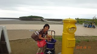 2018年9月11日（火）九州旅行「宮崎青島～鹿児島市へ移動」　魚介海鮮料理「半魚人」「ホルモン鍋一成」　ホテル南州館２泊　ダイハツウェイクでGO！　ミニチュアダックスのももちゃん　9月12日（水）