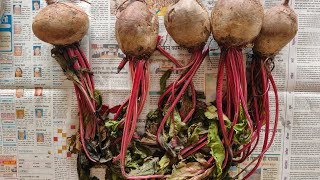 Preparation of Beetroot Jam