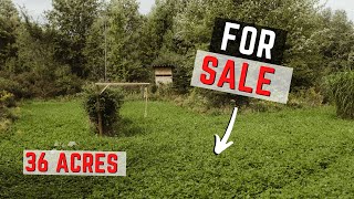 We’re Selling Our 36 Acre Property