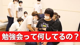 【療法士向けの「勉強会」って何してるの？】　ボバース/ハンドリング/リハビリ/PT/ OT/ST/Nagoya Handling Club/NHC