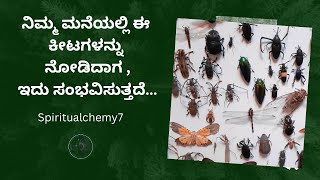 ನಿಮ್ಮ ಮನೆಯಲ್ಲಿ ಕೀಟಗಳು ಏಕೆ ಕಾಣಿಸಿಕೊಳ್ಳುತ್ತವೆ ಎಂದು ನಿಮಗೆ ತಿಳಿದಿದೆಯೇ / #kannada