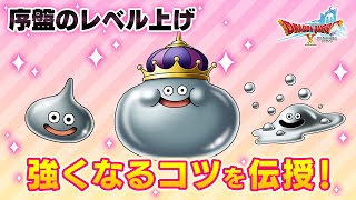 【DQXオンライン】序盤のレベル上げとスキルポイントを解説！