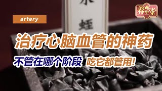 治療心腦血管的神藥，不管在哪個階段吃它都管用！ 【北京衛視養生堂】