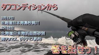 タフコンディションから壱を出せっ！　2月17日島牧美川2月18日浜益毘砂別海アメ、サクラ釣行