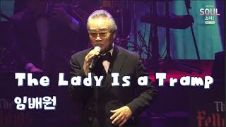 임배원 밴드  더펠로우즈  The Lady Is a Tramp -   임배원    2022년 10월 20일 아양아트센터