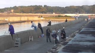 田辺市芳養(はや)の赤灯台堤防の様子