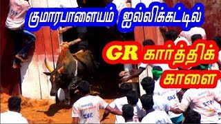 குமாரபாளையம் ஜல்லிக்கட்டில் GR கார்த்திக் காளை தொட்டுப்பார்