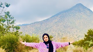 Taifile jabal dhakayil poyi chiken chudaam/saudi arabia mountain💃