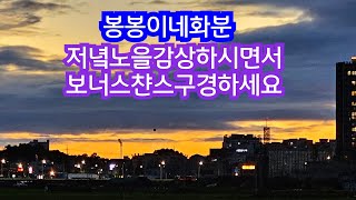 7월7일 #봉봉이네화분#수제공방분#다육화분#야생화화분#저녘노을 감상하세요