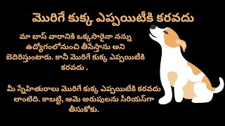 మొరిగే కుక్క ఏప్పటికీ కరవదు means in English | Daily use English Sentences | Syamala